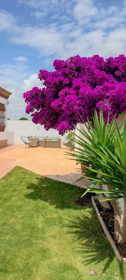 Chalet Hercules La Barrosa 치클라나 데 라 프론테라 외부 사진